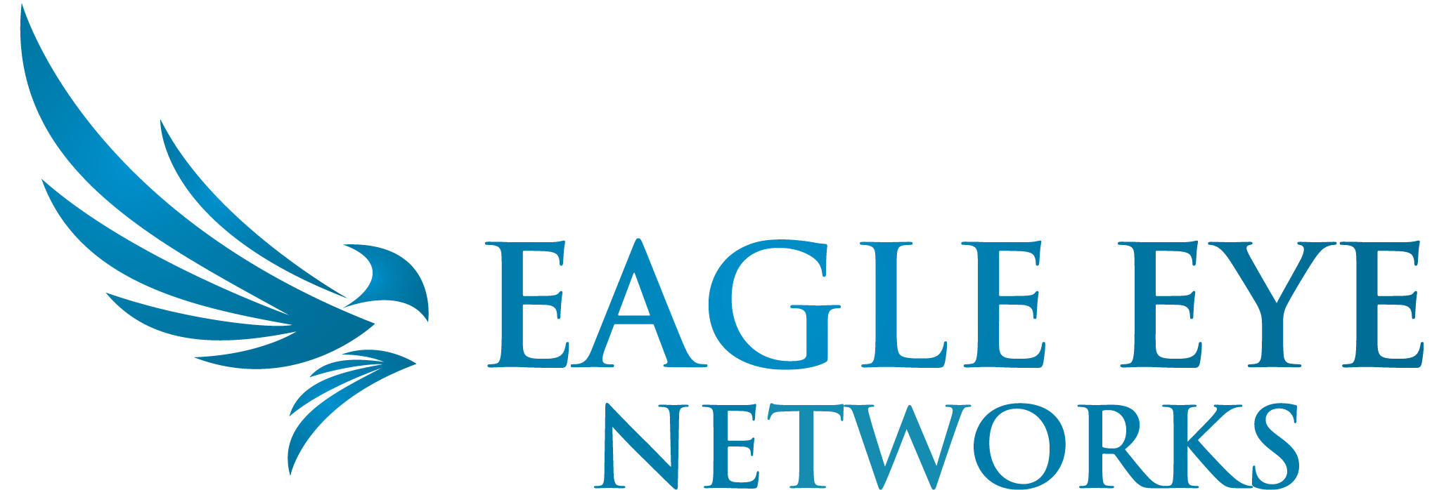 EAGLE EYE NETWORKS partner logo